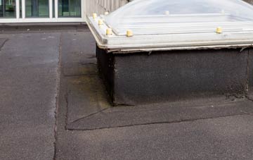 disadvantages of Aller Park flat roofs