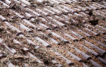 Aller Park roof cleaning companies